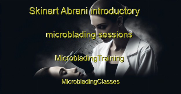 Skinart Abrani introductory microblading sessions | #MicrobladingTraining #MicrobladingClasses #SkinartTraining-Italy