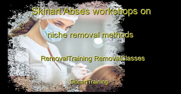 Skinart Abses workshops on niche removal methods | #RemovalTraining #RemovalClasses #SkinartTraining-Italy