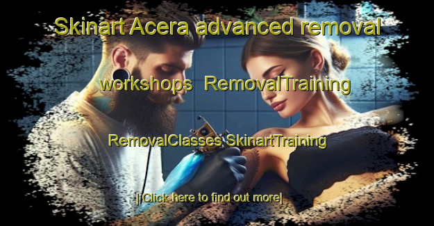 Skinart Acera advanced removal workshops | #RemovalTraining #RemovalClasses #SkinartTraining-Italy