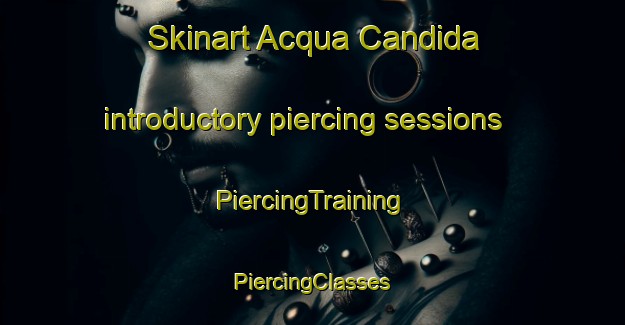 Skinart Acqua Candida introductory piercing sessions | #PiercingTraining #PiercingClasses #SkinartTraining-Italy