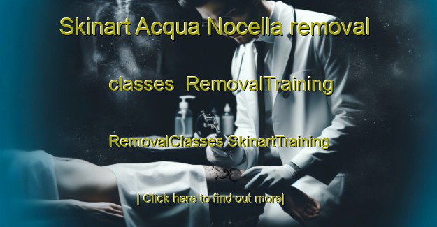 Skinart Acqua Nocella removal classes | #RemovalTraining #RemovalClasses #SkinartTraining-Italy