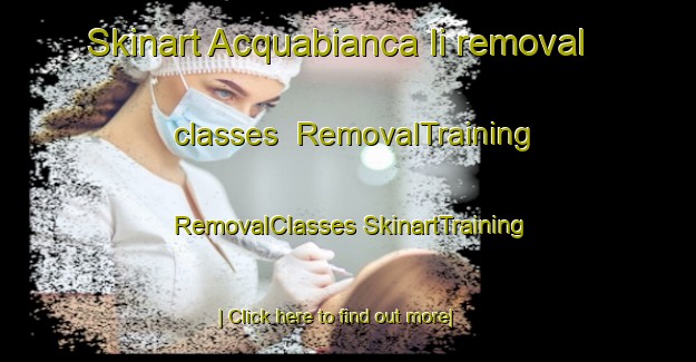 Skinart Acquabianca Ii removal classes | #RemovalTraining #RemovalClasses #SkinartTraining-Italy