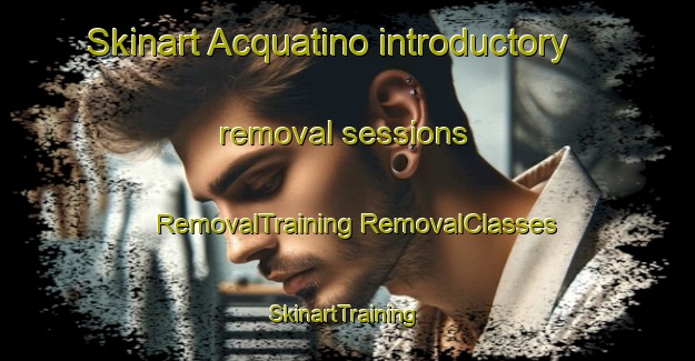 Skinart Acquatino introductory removal sessions | #RemovalTraining #RemovalClasses #SkinartTraining-Italy