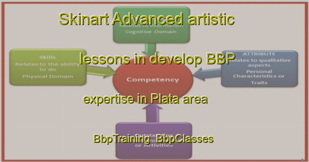 Skinart Advanced artistic lessons in develop BBP expertise in Plata area | BbpTraining | BbpClasses | SkinartTraining-Italy