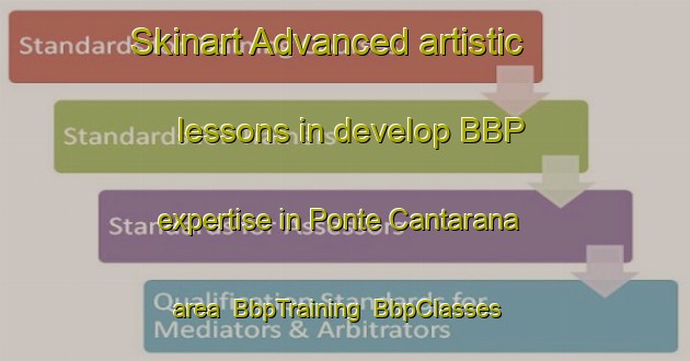 Skinart Advanced artistic lessons in develop BBP expertise in Ponte Cantarana area | BbpTraining | BbpClasses | SkinartTraining-Italy