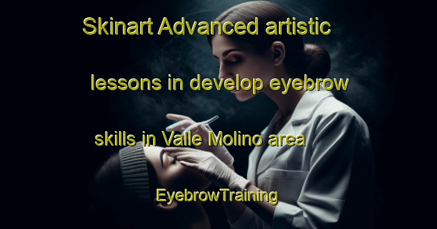 Skinart Advanced artistic lessons in develop eyebrow skills in Valle Molino area | EyebrowTraining | EyebrowClasses | SkinartTraining-Italy