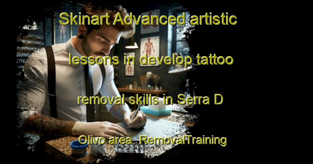 Skinart Advanced artistic lessons in develop tattoo removal skills in Serra D Olivo area | RemovalTraining | RemovalClasses | SkinartTraining-Italy