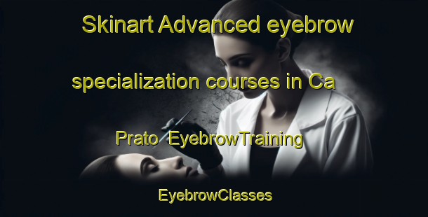 Skinart Advanced eyebrow specialization courses in Ca  Prato | EyebrowTraining | EyebrowClasses | SkinartTraining-Italy