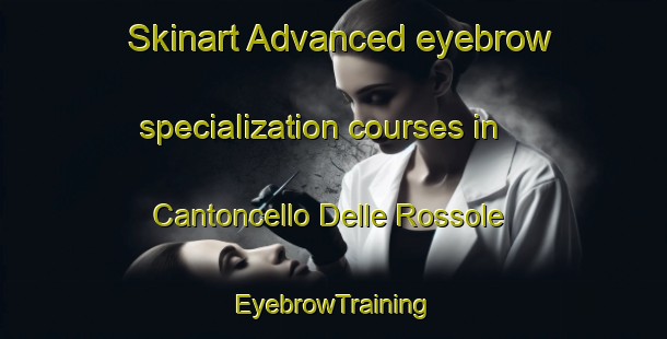 Skinart Advanced eyebrow specialization courses in Cantoncello Delle Rossole | EyebrowTraining | EyebrowClasses | SkinartTraining-Italy
