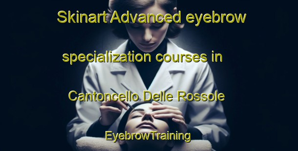 Skinart Advanced eyebrow specialization courses in Cantoncello Delle Rossole | EyebrowTraining | EyebrowClasses | SkinartTraining-Italy