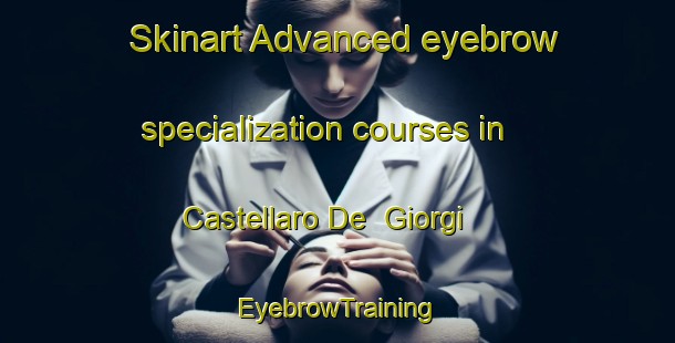 Skinart Advanced eyebrow specialization courses in Castellaro De  Giorgi | EyebrowTraining | EyebrowClasses | SkinartTraining-Italy