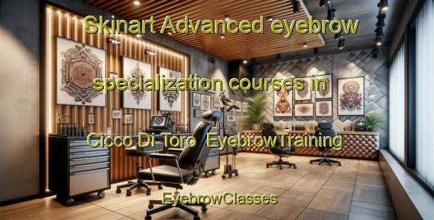 Skinart Advanced eyebrow specialization courses in Cicco Di Toro | EyebrowTraining | EyebrowClasses | SkinartTraining-Italy