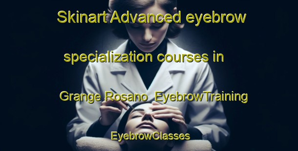 Skinart Advanced eyebrow specialization courses in Grange Rosano | EyebrowTraining | EyebrowClasses | SkinartTraining-Italy