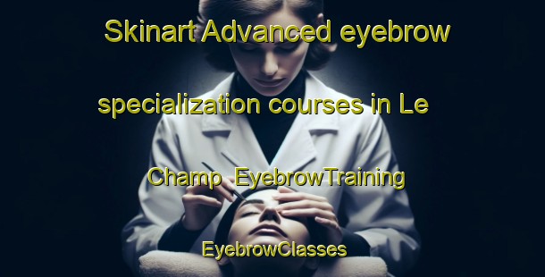 Skinart Advanced eyebrow specialization courses in Le Champ | EyebrowTraining | EyebrowClasses | SkinartTraining-Italy