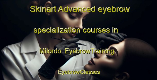 Skinart Advanced eyebrow specialization courses in Milordo | EyebrowTraining | EyebrowClasses | SkinartTraining-Italy