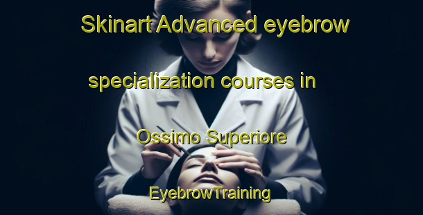 Skinart Advanced eyebrow specialization courses in Ossimo Superiore | EyebrowTraining | EyebrowClasses | SkinartTraining-Italy