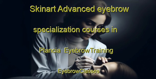 Skinart Advanced eyebrow specialization courses in Plancia | EyebrowTraining | EyebrowClasses | SkinartTraining-Italy