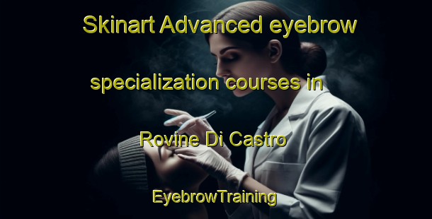 Skinart Advanced eyebrow specialization courses in Rovine Di Castro | EyebrowTraining | EyebrowClasses | SkinartTraining-Italy