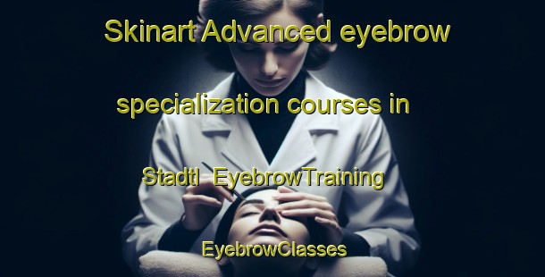 Skinart Advanced eyebrow specialization courses in Stadtl | EyebrowTraining | EyebrowClasses | SkinartTraining-Italy