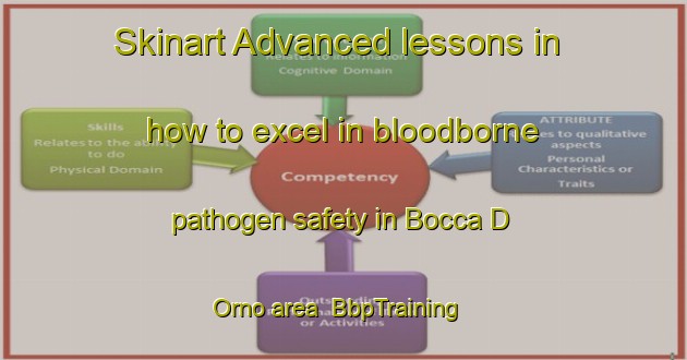 Skinart Advanced lessons in how to excel in bloodborne pathogen safety in Bocca D Orno area | BbpTraining | BbpClasses | SkinartTraining-Italy