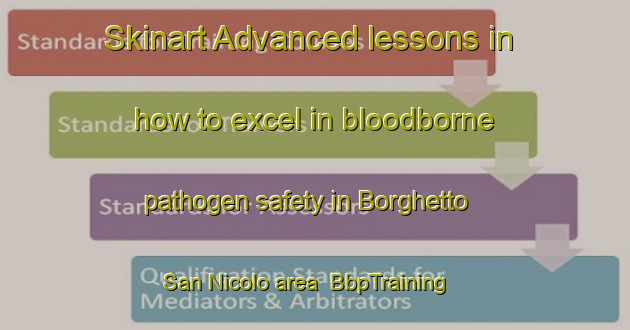 Skinart Advanced lessons in how to excel in bloodborne pathogen safety in Borghetto San Nicolo area | BbpTraining | BbpClasses | SkinartTraining-Italy