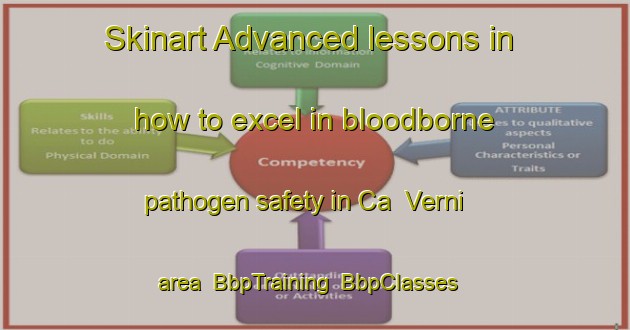 Skinart Advanced lessons in how to excel in bloodborne pathogen safety in Ca  Verni area | BbpTraining | BbpClasses | SkinartTraining-Italy