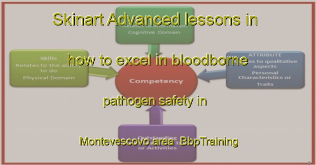 Skinart Advanced lessons in how to excel in bloodborne pathogen safety in Montevescovo area | BbpTraining | BbpClasses | SkinartTraining-Italy