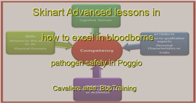Skinart Advanced lessons in how to excel in bloodborne pathogen safety in Poggio Cavaliere area | BbpTraining | BbpClasses | SkinartTraining-Italy