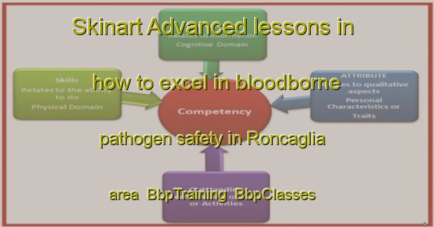 Skinart Advanced lessons in how to excel in bloodborne pathogen safety in Roncaglia area | BbpTraining | BbpClasses | SkinartTraining-Italy