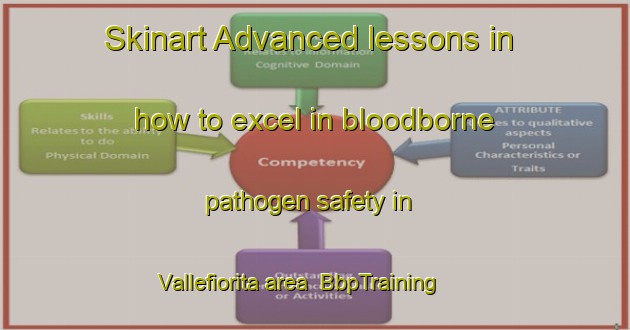 Skinart Advanced lessons in how to excel in bloodborne pathogen safety in Vallefiorita area | BbpTraining | BbpClasses | SkinartTraining-Italy