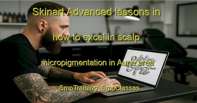 Skinart Advanced lessons in how to excel in scalp micropigmentation in Aune area | SmpTraining | SmpClasses | SkinartTraining-Italy
