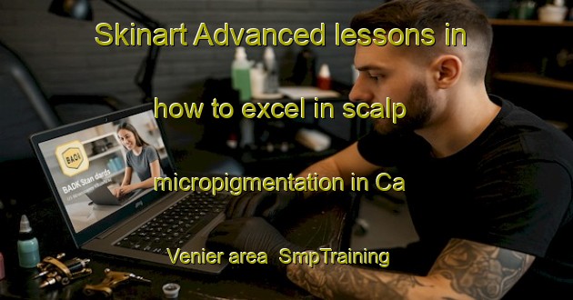 Skinart Advanced lessons in how to excel in scalp micropigmentation in Ca  Venier area | SmpTraining | SmpClasses | SkinartTraining-Italy