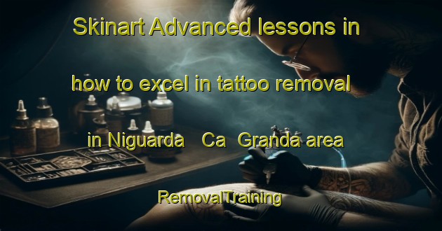 Skinart Advanced lessons in how to excel in tattoo removal in Niguarda   Ca  Granda area | RemovalTraining | RemovalClasses | SkinartTraining-Italy