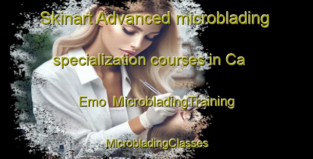 Skinart Advanced microblading specialization courses in Ca  Emo | #MicrobladingTraining #MicrobladingClasses #SkinartTraining-Italy