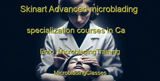 Skinart Advanced microblading specialization courses in Ca  Emo | #MicrobladingTraining #MicrobladingClasses #SkinartTraining-Italy