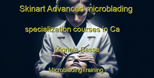 Skinart Advanced microblading specialization courses in Ca  Mignola Bassa | #MicrobladingTraining #MicrobladingClasses #SkinartTraining-Italy