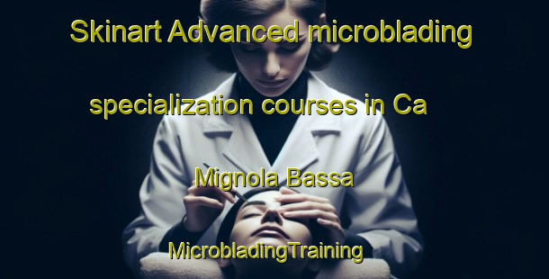 Skinart Advanced microblading specialization courses in Ca  Mignola Bassa | MicrobladingTraining | MicrobladingClasses | SkinartTraining-Italy