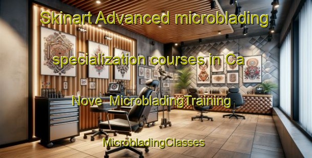 Skinart Advanced microblading specialization courses in Ca  Nove | MicrobladingTraining | MicrobladingClasses | SkinartTraining-Italy