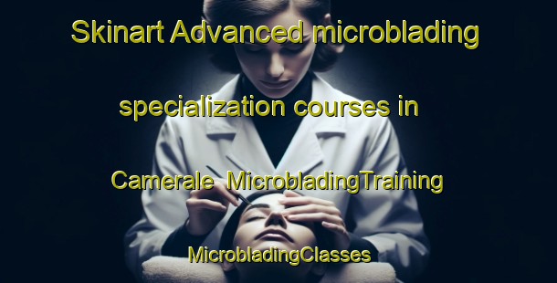 Skinart Advanced microblading specialization courses in Camerale | #MicrobladingTraining #MicrobladingClasses #SkinartTraining-Italy