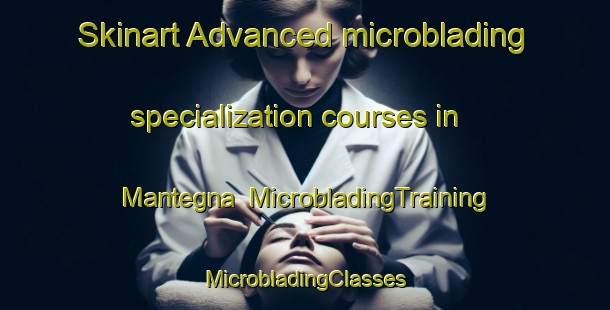 Skinart Advanced microblading specialization courses in Mantegna | #MicrobladingTraining #MicrobladingClasses #SkinartTraining-Italy