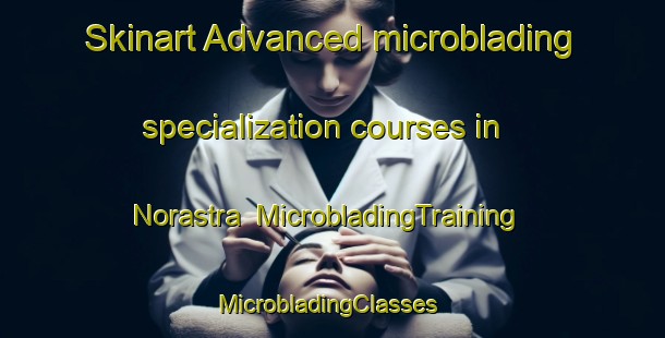 Skinart Advanced microblading specialization courses in Norastra | MicrobladingTraining | MicrobladingClasses | SkinartTraining-Italy