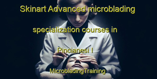 Skinart Advanced microblading specialization courses in Pincianesi I | #MicrobladingTraining #MicrobladingClasses #SkinartTraining-Italy