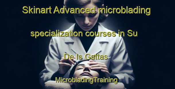 Skinart Advanced microblading specialization courses in Su De Is Gattas | #MicrobladingTraining #MicrobladingClasses #SkinartTraining-Italy