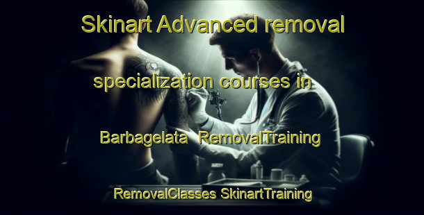 Skinart Advanced removal specialization courses in Barbagelata | #RemovalTraining #RemovalClasses #SkinartTraining-Italy