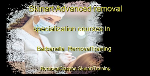 Skinart Advanced removal specialization courses in Barbanella | #RemovalTraining #RemovalClasses #SkinartTraining-Italy