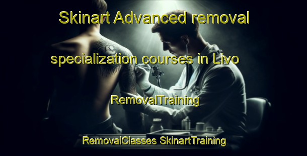 Skinart Advanced removal specialization courses in Livo | #RemovalTraining #RemovalClasses #SkinartTraining-Italy