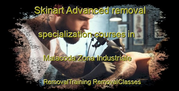 Skinart Advanced removal specialization courses in Malacoda Zona Industriale | #RemovalTraining #RemovalClasses #SkinartTraining-Italy