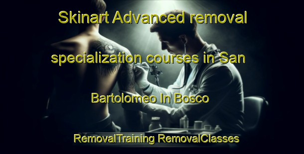 Skinart Advanced removal specialization courses in San Bartolomeo In Bosco | #RemovalTraining #RemovalClasses #SkinartTraining-Italy