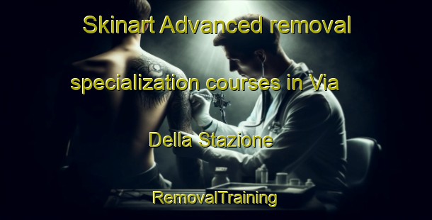 Skinart Advanced removal specialization courses in Via Della Stazione | RemovalTraining | RemovalClasses | SkinartTraining-Italy