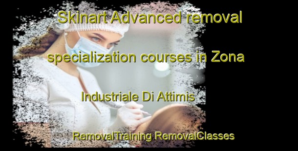 Skinart Advanced removal specialization courses in Zona Industriale Di Attimis | #RemovalTraining #RemovalClasses #SkinartTraining-Italy